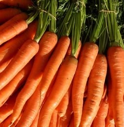 Carrots